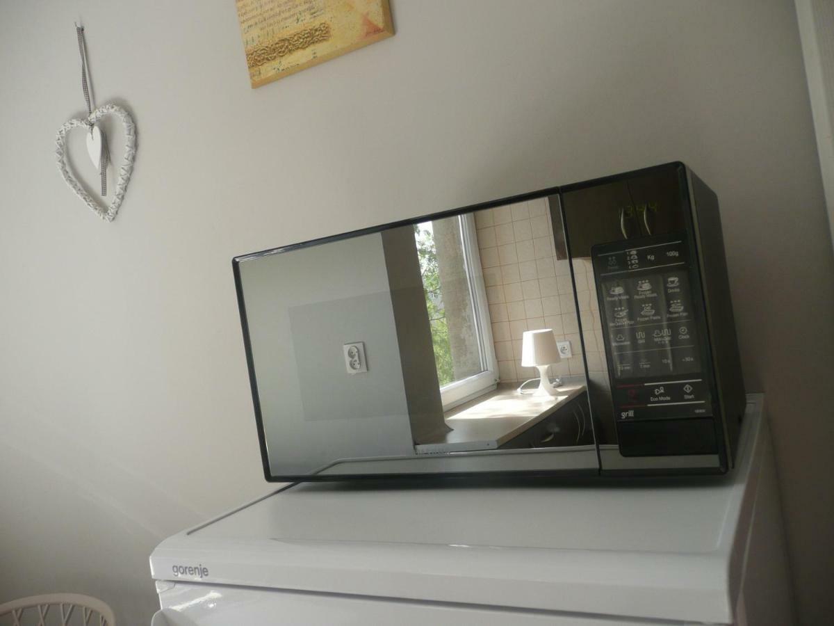 Sunny Wisla River Appartement